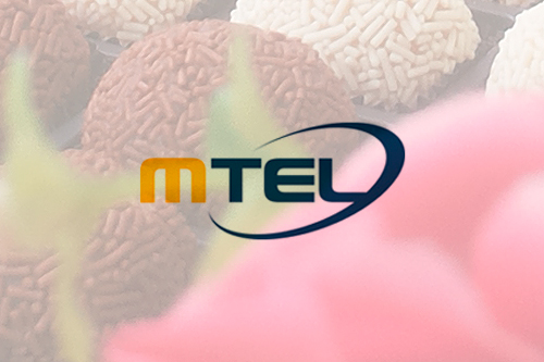 Festa da Firma MTEL